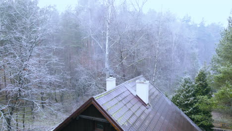 Smoke-slowly-escapes-from-the-chimney,-cottage-situated-in-the-middle-of-the-forest,-trees-without-leaves-and-thin-branches