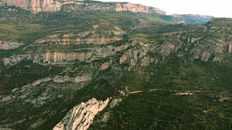 Felsige-Vegetation,-Die-Die-Bergfelsen-Von-Katalonien,-Spanien,-Bedeckt