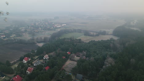 Die-Atemberaubende-Landschaft-In-Bartoszylas,-Polen-Mit-Verschiedenen-Häusern,-Umgeben-Von-Grünen-Bäumen---Luftaufnahme