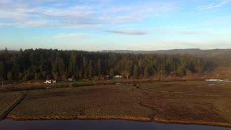 Schöne-Landschaft-Mit-Häusern-Im-Nadelwald-An-Der-North-Bank-Lane-In-Bandon,-Oregon