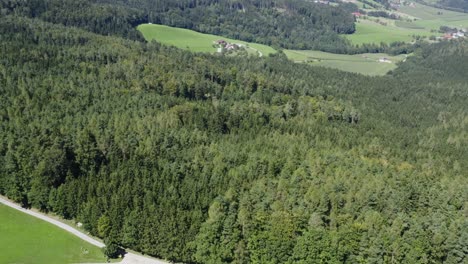 Drohnenansicht-Von-Autos,-Die-Auf-Der-Straße-Geparkt-Sind,-Mit-Einem-Riesigen-Wald-Im-Hintergrund