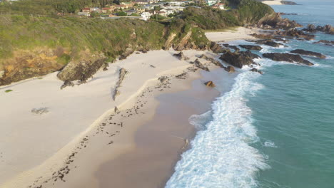 Waves-breaking-on-Australian-New-South-Wales-coastal-town-beach,-aerial-view