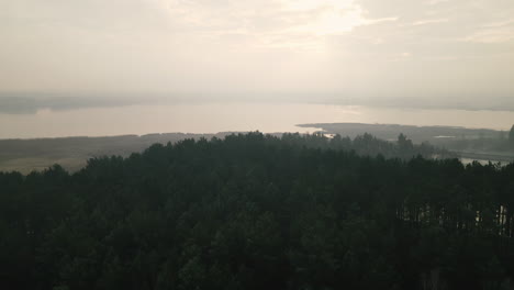 Amazing-drone-backwards-shot-over-green-trees-with-golden-hour-sunlight-over-a-Polish-lake-near-Bartoszylas