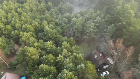 Aerial-flight-over-foggy-houses-towards-misty-dense-mysterious-forest-trees