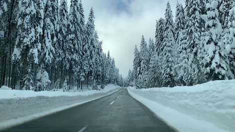 Driving-after-snowfall-in-forest-covered-with-snow-in-winter-in-slowmotion
