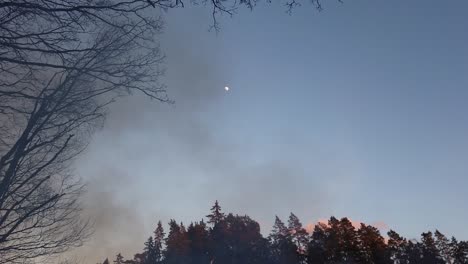 Smoke-From-Bonfire-In-The-Forest-Flying-To-The-Sky-With-Moon-At-Dusk---panning-left,-tilt-up