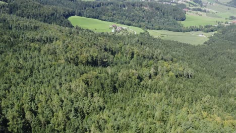 Schöne-Grüne-Luftaufnahme-Im-Malerischen-Wald
