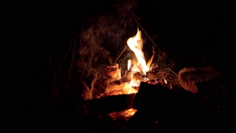 Glühende-Flamme-Eines-Lagerfeuers-Auf-Einem-Dunklen-Wald-Im-Winter
