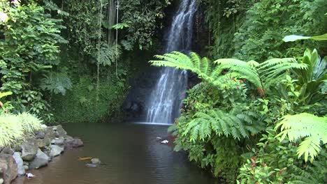 Fautaua-Waterfall-in-Tahiti,-French-Polynesia
