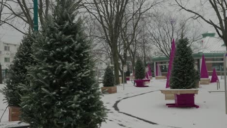 Plano-Medio-Del-árbol-De-Navidad-Afuera-En-El-Parque-De-Nieve-De-Invierno-Vacío