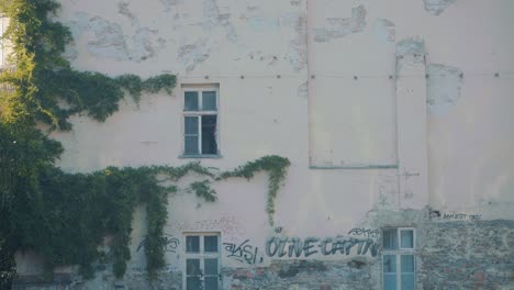Mit-Grünen-Ranken-Und-Graffiti-Bedeckte-Wände-In-Der-Straße-Von-Bratislava,-Slowakei