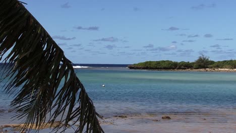Hoja-De-Palma-Y-Paisaje-De-Rarotonga,-Islas-Cook
