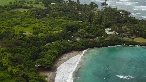 Drone-aerial-beach-shot-pan-down-garden-forest-landscape