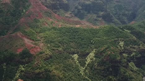 Drone-aerial-pan-down-Waimea-canyon-hawaii