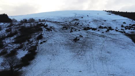 Moel-Famau-Welsh-snowy-mountain-valley-aerial-view-cold-agricultural-rural-winter-landscape-pan-left