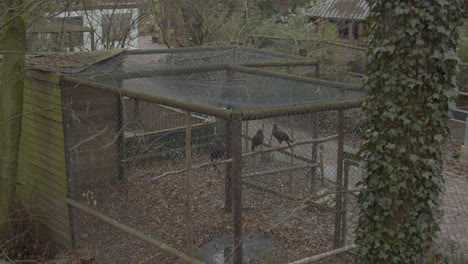 High-angle-view-of-large-bird-cage-in-empty-zoo-during-Covid-lockdown