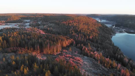 Schöner-Wald-Von-Bäumen-In-Farbenfroher-Nordischer-Landschaft---Luftpanorama