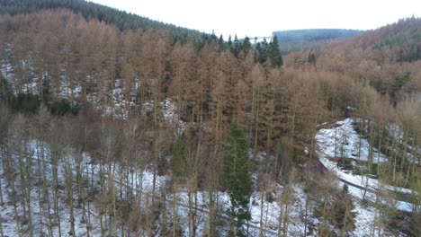 Snowy-Welsh-woodland-Moel-Famau-winter-landscape-aerial-view-rising-above-trees