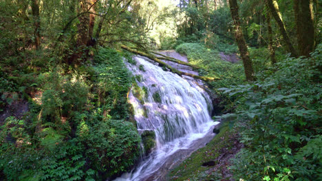 Wunderschöner-Wasserfall-Lan-Sa-Ded-Am-Naturlehrpfad-Kew-Mae-Pan-In-Doi-Inthanon,-Chiang-Mai,-Thailand