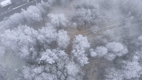 Wintry-Snow-Covered-Trees-by-Freeway-Interstate-Road---Aerial-Top-View