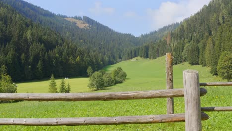 Side-track-shot-behind-fence-of-grassland-in-Crna-na-Koroskem-in-between-the-forest