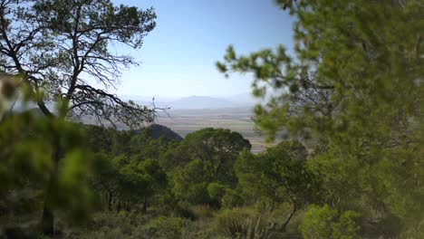 Brisa-De-Verano-Soplando-árboles,-Valle-De-La-Montaña-De-Jumilla-En-España,-Tiro-Deslizante