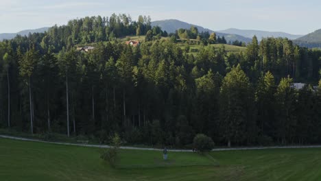 Drone-flyover-shot-of-wide-forest-and-hill-in-the-background