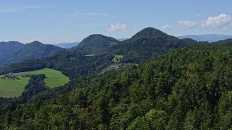 Aerial-shot-of-forest,-mountain,-and-meadow-in-Lavamünd