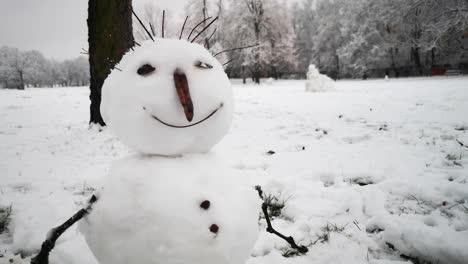 Happy-Snowman-Smiling-in-Beautiful-Winter-Scenery-on-Cloudy-Day
