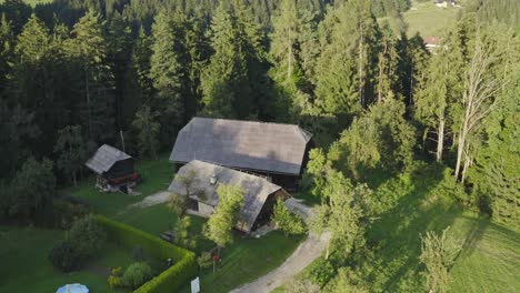 Aerial-View-Of-Large-Building-Homes-Surrounded-By-Nature-In-Kotlje-Slovenia