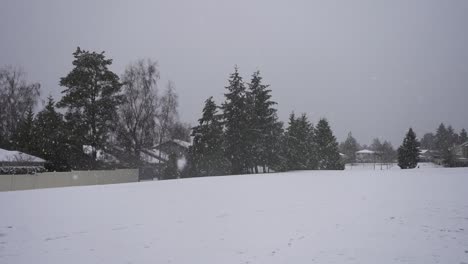 Zeitlupenaufnahmen-Eines-Fußballplatzes-Bei-Leichtem-Schneefall-In-Kanada