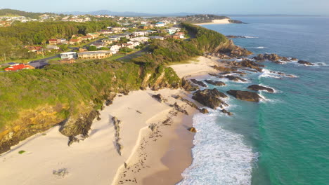 Quiet-New-South-Wales-coastal-town-on-Australian-east-coast,-aerial-seascape
