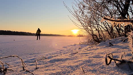 Man-walking-across-ice-lake-in-sunny-snowy-winter-wonderland-in-Finland,-Sunny-Clear-Winter-Weather,-wide-shot