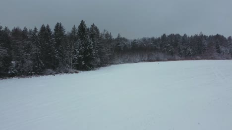 4k-Uhd-Luftdrohnenclip-Eines-Schneebedeckten-Feldes,-Umgeben-Von-Bäumen-In-Einem-Wald-Im-Winter-Mit-Schnee,-Der-Die-Baumwipfel-In-Bayern,-Deutschland-Bedeckt