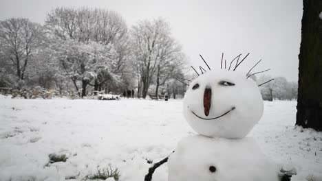 Cute-looking-Snowman-built-by-People-in-Beautiful-Winter-Scenery