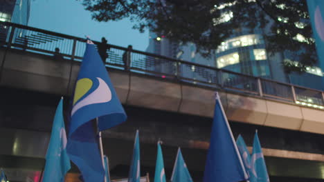 Inner-Mongolian-People's-Party-And-Uyghuristan-Flags-Fluttering-In-The-Wind-Held-By-Protesters-Against-CCP-In-Tokyo,-Japan-At-Night