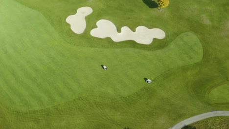 Aerial-Tracking-Shot-of-Golf-Carts-Driving-on-Fairway-Playing-Golf-in-Fall