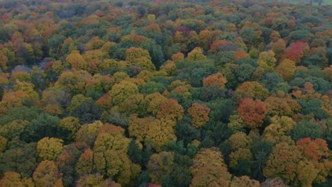 Top-Down-Aerial-Establishing-Shot-of-Beautiful-Autumn-Landscape-in-Rural-United-States