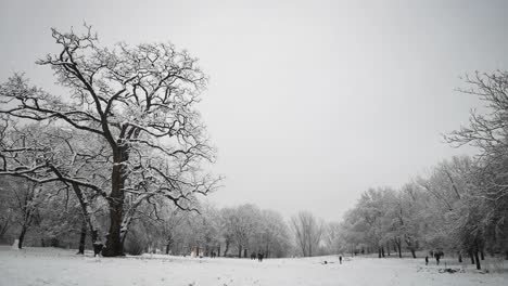 Winterwunderland-Mit-Menschen,-Die-Sich-An-Kalten-Tagen-Im-Schnee-Amüsieren