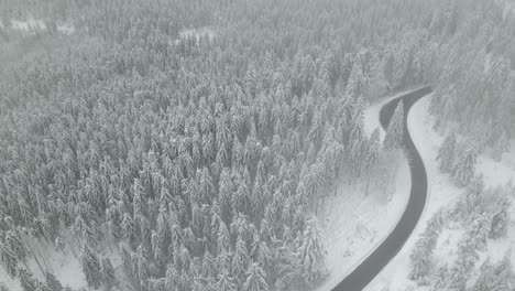 Aerial-view-of-road-between-snow-covered-forest