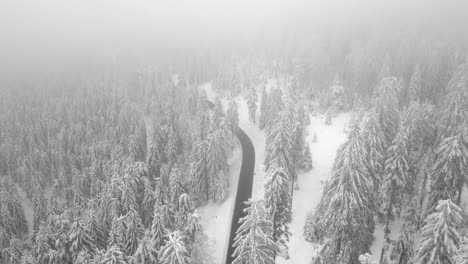 Car-drives-through-winter-wonderland-on-foggy-day