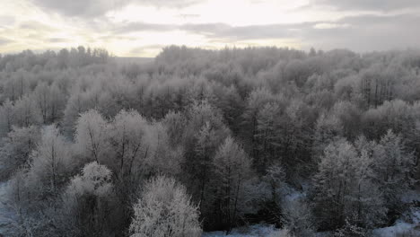 Winter-morning-landscape,-frost-on-trees,-amazing-unspoiled-nature-in-winter