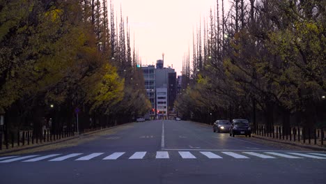 Ruhige-Landschaft-Am-Frühen-Morgen-In-Der-Gaienmae-Gasse-In-Tokio,-Japan