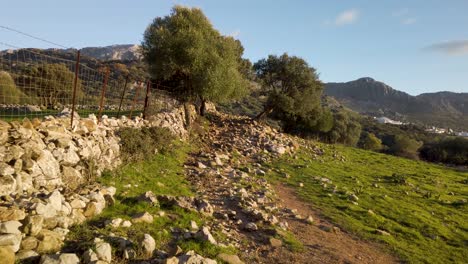 POV-Walking-on-Rocky-Path-in-Grassy-Spanish-Countryside-at-Golden-Hour