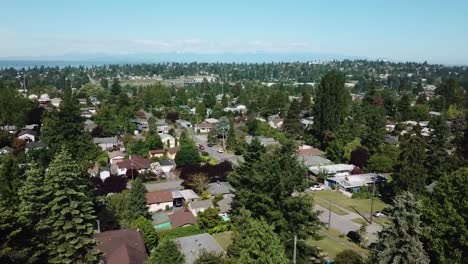 Dachlandschaft-Eines-Ruhigen-Wohngebiets-Mit-üppigen-Nadelbäumen-Bei-Tageslicht-In-West-Seattle,-Washington