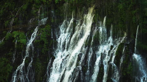 Agua-Que-Fluye-Por-Un-Acantilado-Exuberante-Y-Cubierto-De-Musgo-En-Burney-Falls,-Cascada-Forestal-En-California