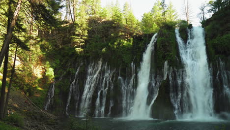 Burney-Falls-Landschaft,-Waldwasserfall-In-Kalifornien,-Wenn-Das-Wasser-Eine-Moosige-Klippe-Hinunterfällt