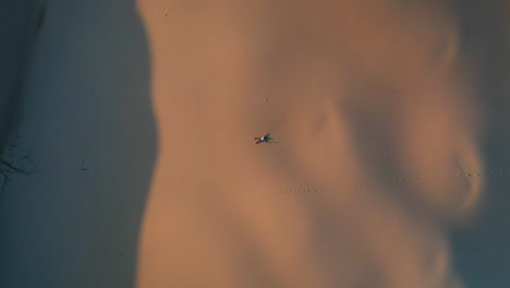 Filmische-Aufsteigende-Drohnenaufnahme-Eines-Mannes,-Der-Sich-Auf-Sanddünen-Oder-In-Der-Wüste-Niederlegt