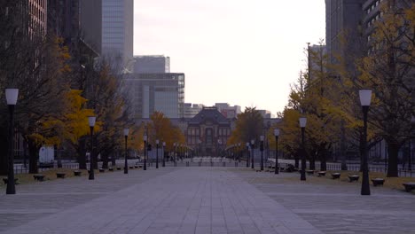 Approach-to-Tokyo-Station-lined-with-bright-autumn-colored-trees-during-morning