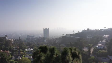 Rising-aerial-shot-over-tree-to-reveal-Century-City-skyline-enveloped-in-haze